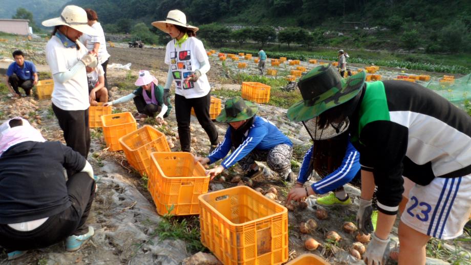 사생회 농촌봉사