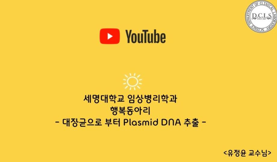 [2022 행복동아리 11탄] 대장균으로부터 Plasmid DNA 추출 - 유정윤 교수님