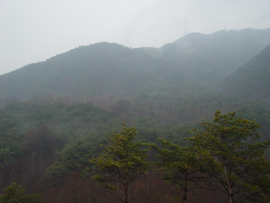 비오는 날 연구실 창 밖 풍경