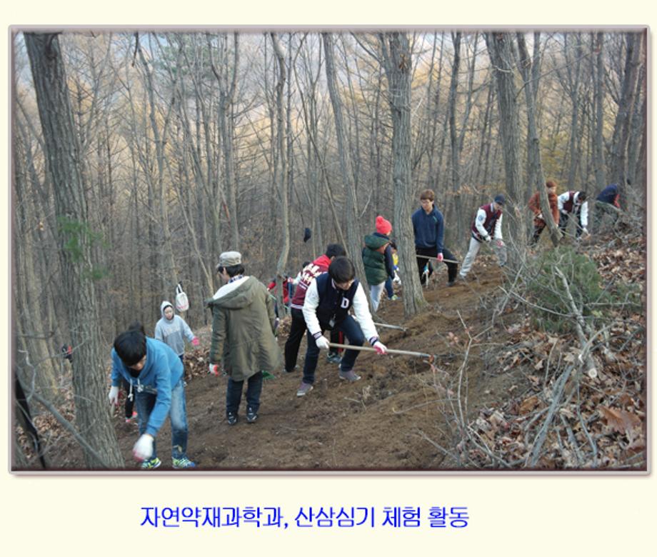 자연약재과학과 산삼심기 체험 활동